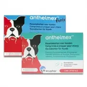 Anthelmex