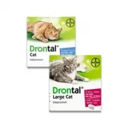 Drontal Katze