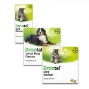 Drontal Hond