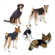 Medical Pet Shirt Hond