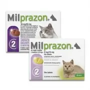 Milprazon Katze