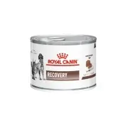 Royal Canin Recovery