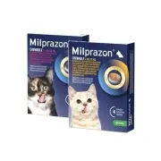 Milprazon Katze Kautabletten