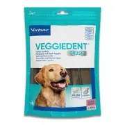 VeggieDent | >30 Kg | 15 Stuks