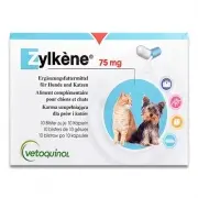 Zylkene 75 Mg | 100 Gélules