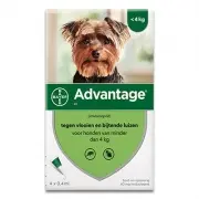 Advantage Hund 40 | < 4 Kg | 4 Pipetten