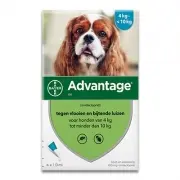 Advantage Hond 100 | 4-10 Kg | 4 Pipetten