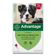 Advantage Hund 250 | 10-25 Kg | 4 Pipetten