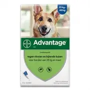 Advantage Hond 400 | 25-40 Kg | 4 Pipetten