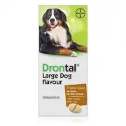 Drontal Chien Grand Tasty | 24 Comprimés