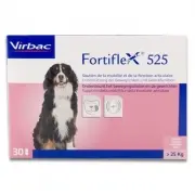 Fortiflex 525 | 30 Tablety