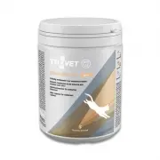 Trovet Milk Kms Kitten | 3 x 400 Gr