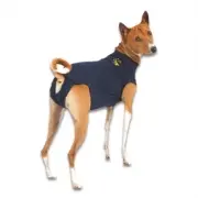 Medical Pet Shirt Hund | Blau XXXS