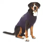 Medical Pet Shirt Pes | Blå XXL