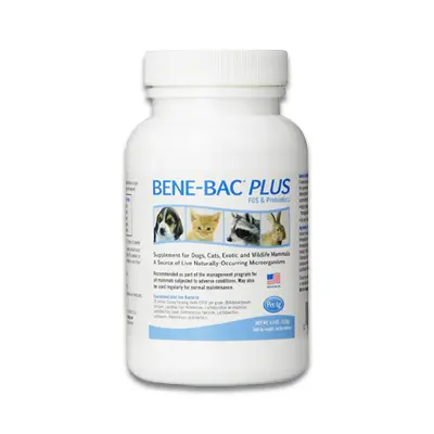 Bene-Bac Plus Pet Poeder - 127 Gr