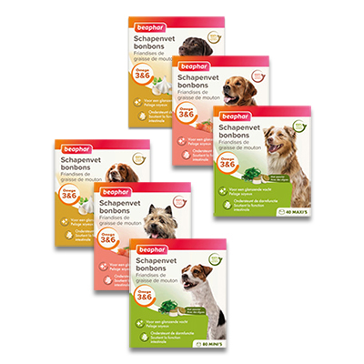 Vertrouwen op Woestijn Verfrissend Beaphar Schapenvet Bonbons | Honden | Bestellen - Nu vanaf €7.30 |  Petcure.nl