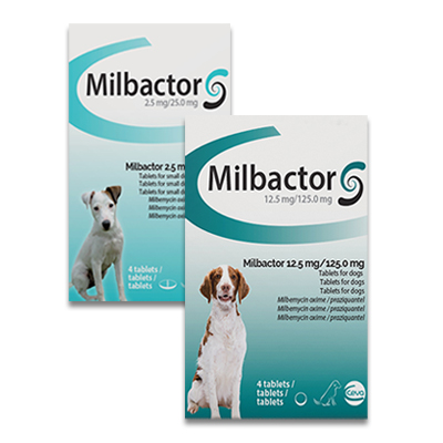 Milbactor 2.5mg/25mg Chiot et petit chien Blister 4 comprimés