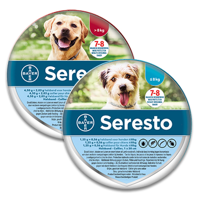 overstroming amateur Saga Seresto Hond | Vlooienband Hond | Bestellen - Nu vanaf €25.05 | Petcure.be