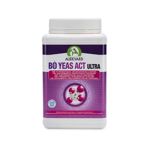 Audevard Bo Yeas Act Ultra - 1.2 Kg