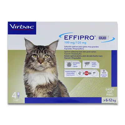 Effipro Duo Spot On Kat - > 6 Kg - 4 Pipetten