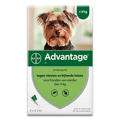 Advantage Hond 40 - < 4 Kg - 4 Pipetten