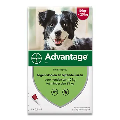 Advantage Hond 250 - 10-25 Kg - 4 Pipetten