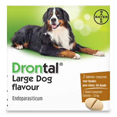 Drontal Hond Groot Tasty - 2 Tabletten