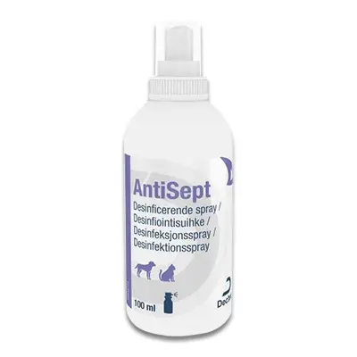 Antisept - 100 Ml