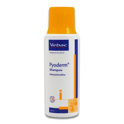 Pyoderm Shampoo - 250 Ml