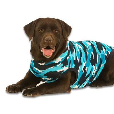 Recovery Suit Hond - Camouflage - Xxxs - Blauw (geen retour mogelijk)