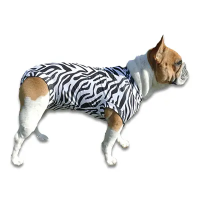 Medical Pet Shirt Zebra - Hond XXS