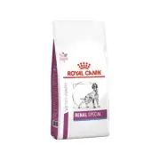 Royal Canin Renal Special Hond - 2 Kg