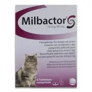 Milbactor Chat Grand - 4 Comprimés | Petcure.fr