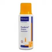 Pyoderm Shampoo - 250 Ml